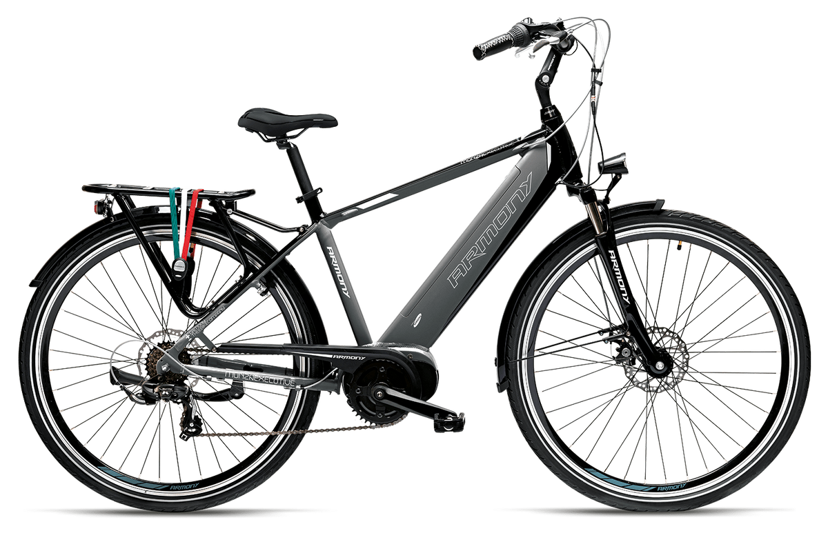 ARMONY MONZA EXECUTIVE - Nechifori Bike